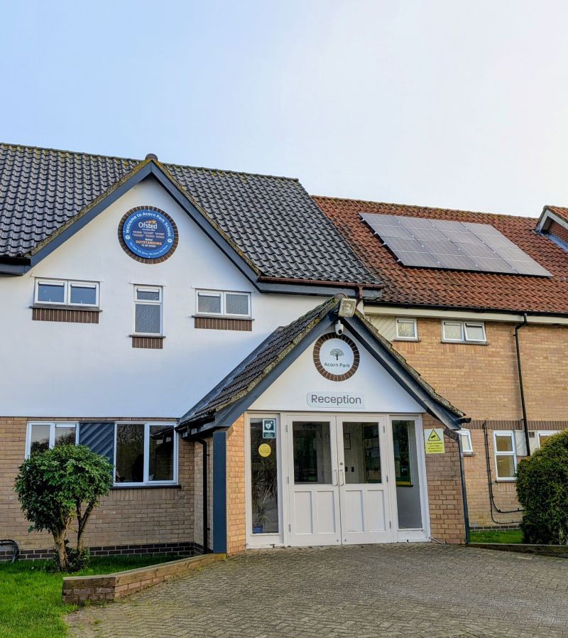 Why School Visits Like Acorn Park Inspire My Work